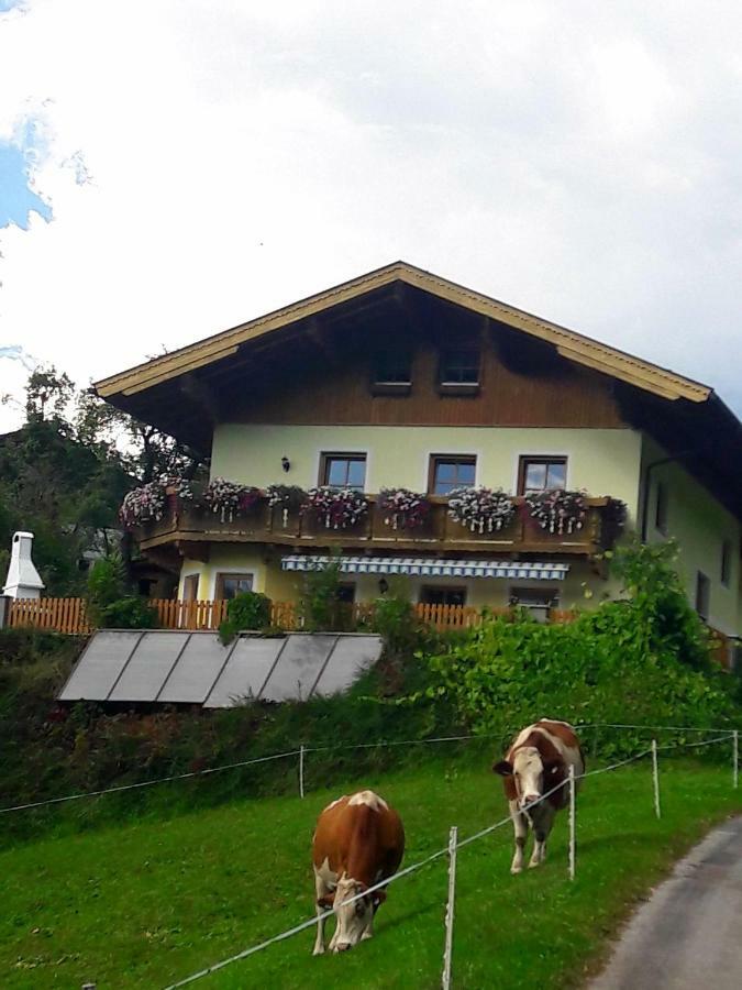 Landhaus Katharina Bischofshofen Buitenkant foto