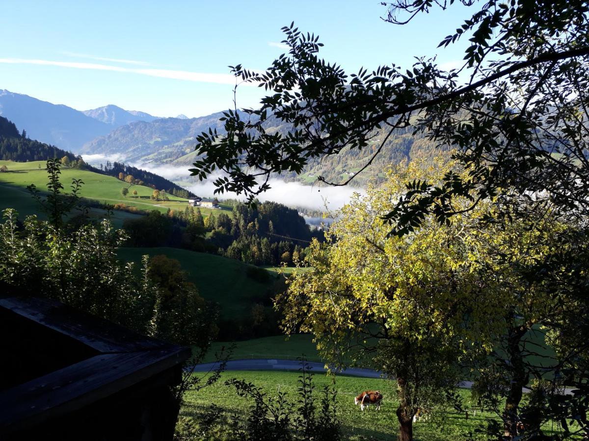 Landhaus Katharina Bischofshofen Buitenkant foto